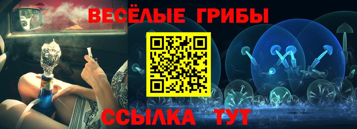 Псилоцибиновые грибы Psilocybine cubensis  Псилоцибиновые грибы прущие грибы  Туймазы  Вход с VPN 